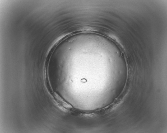 X0000066941125200604071905