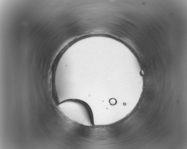 X0000066941126200604071905