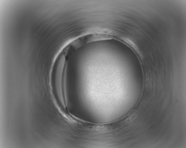 X0000066941128200604071905