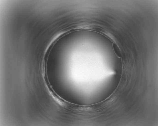 X0000066941131200604071905