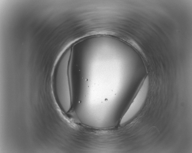 X0000066941132200604071905