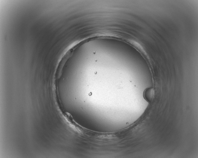 X0000066941133200604071905