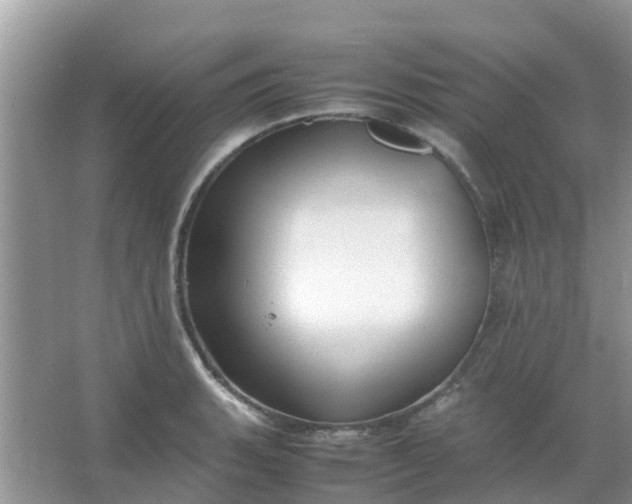 X0000066941135200604071905