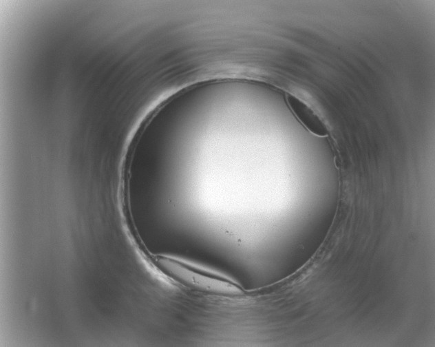 X0000066941136200604071905