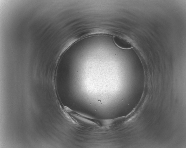 X0000066941137200604071905