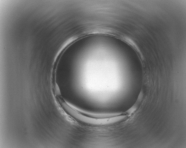 X0000066941138200604071905