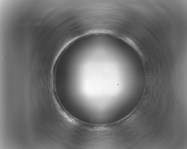 X0000066941140200604071905