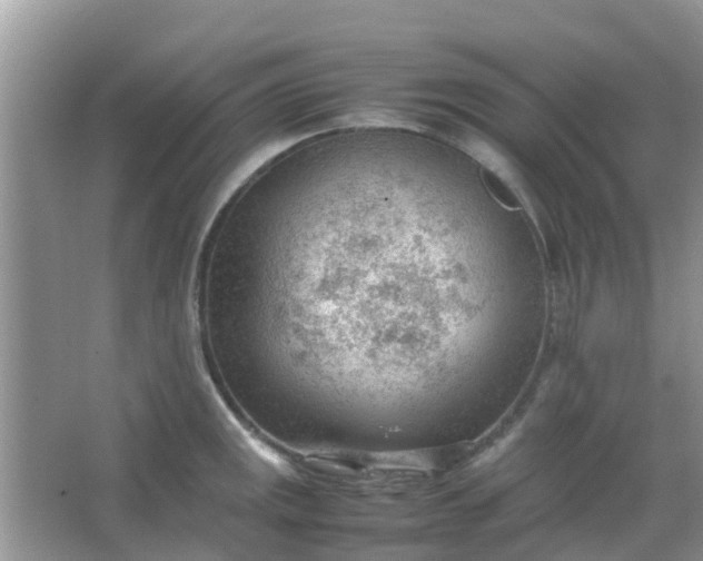 X0000066941141200604071905