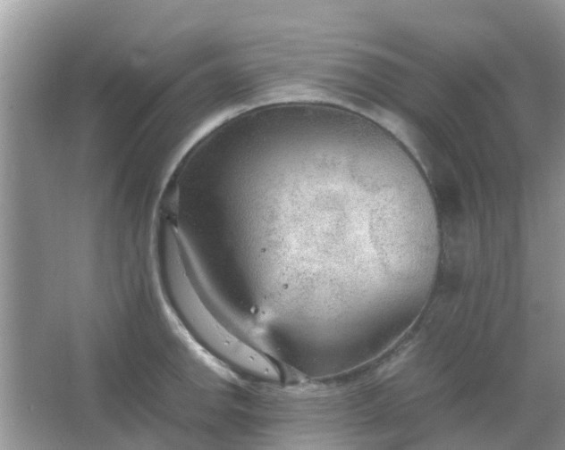 X0000066941142200604071905