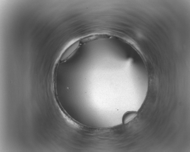 X0000066941143200604071905