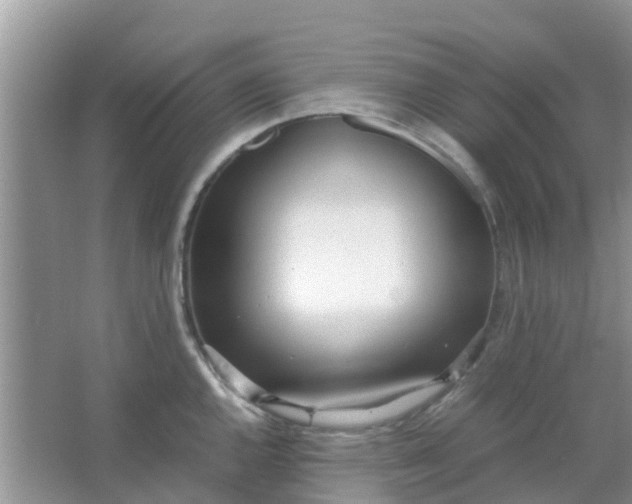 X0000066941144200604071905