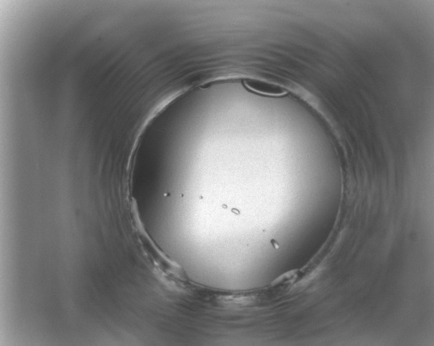 X0000066941145200604071905