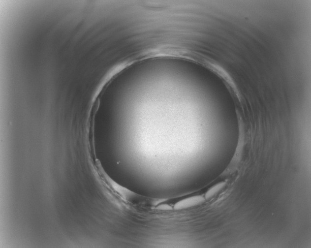 X0000066941146200604071905