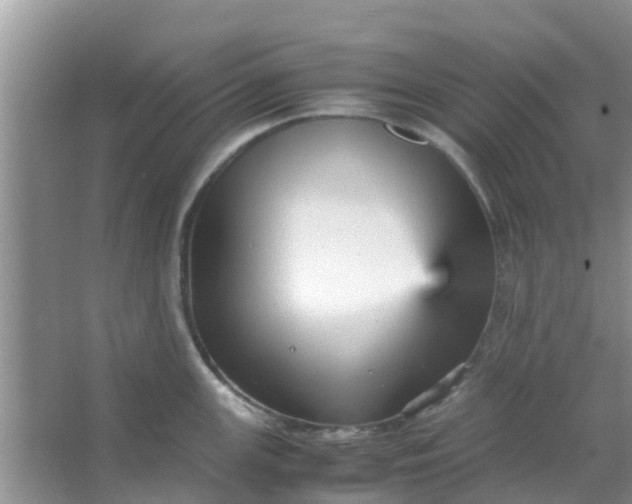 X0000066941147200604071906