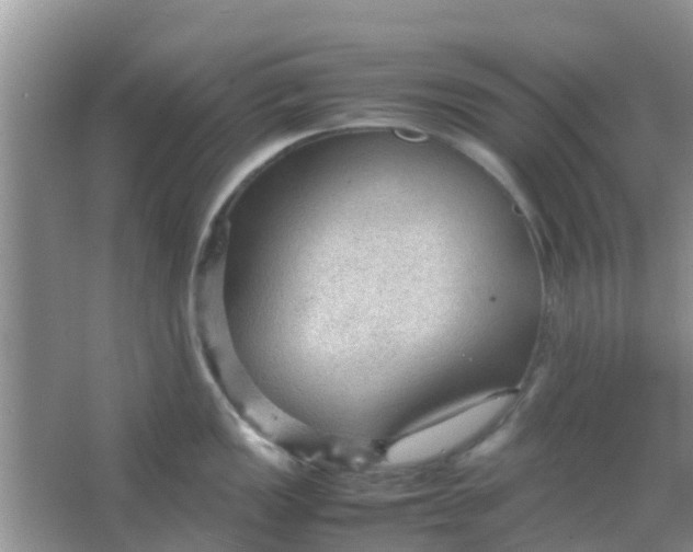 X0000066941149200604071906