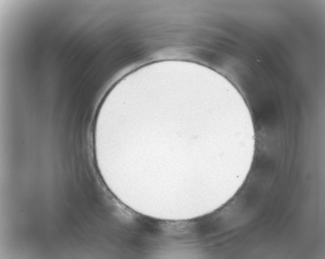 X0000066941150200604071906