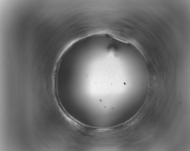 X0000066941151200604071906