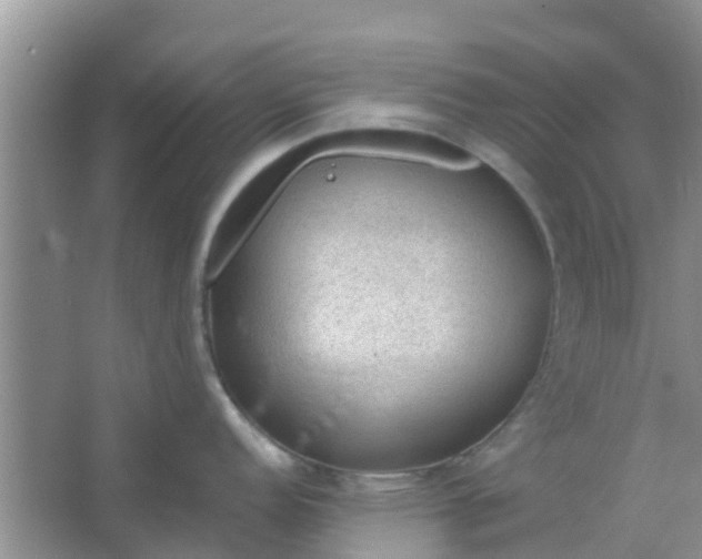 X0000066941152200604071906