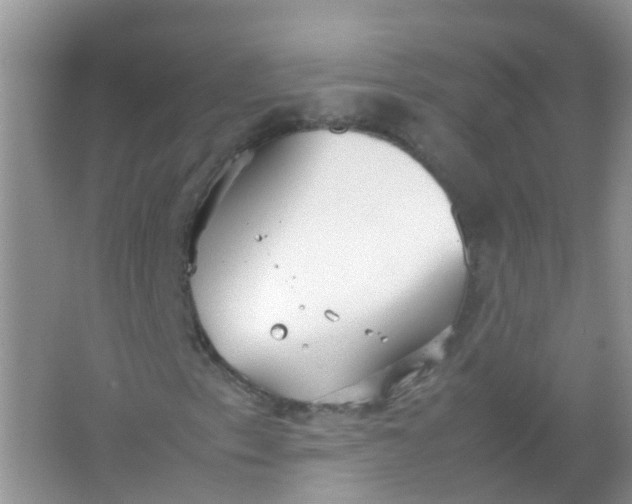 X0000066941153200604071905