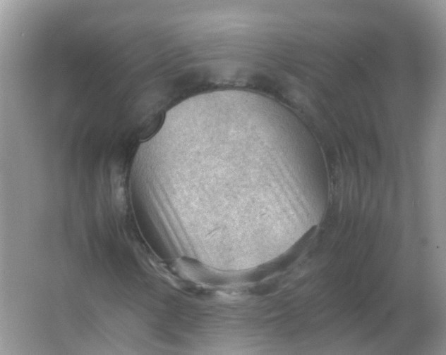 X0000066941154200604071905