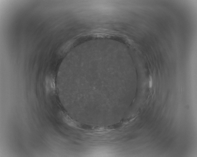 X0000066941155200604071905