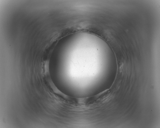 X0000066941156200604071905