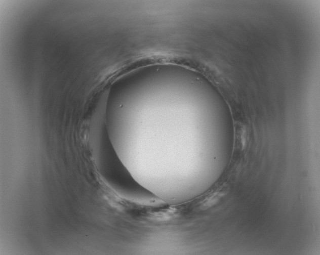 X0000066941157200604071905