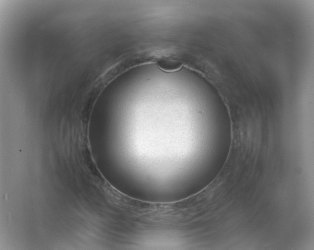 X0000066941158200604071905