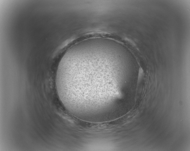 X0000066941159200604071905