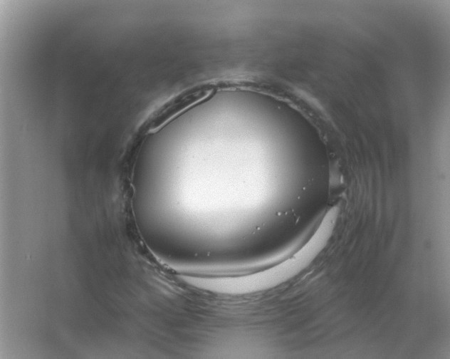 X0000066941160200604071905