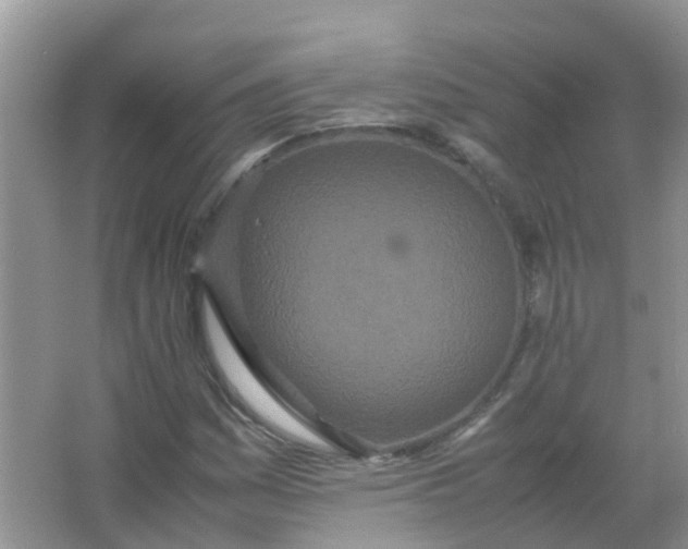 X0000066941161200604071905