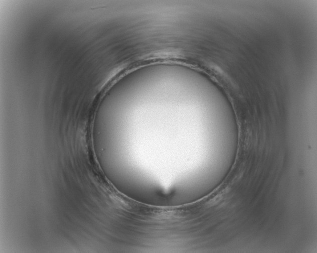 X0000066941162200604071905