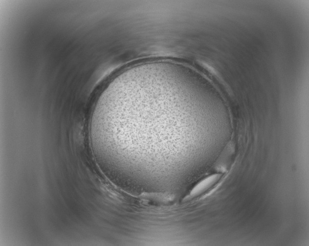 X0000066941163200604071905