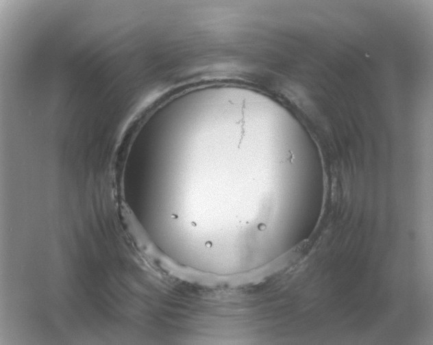 X0000066941164200604071905