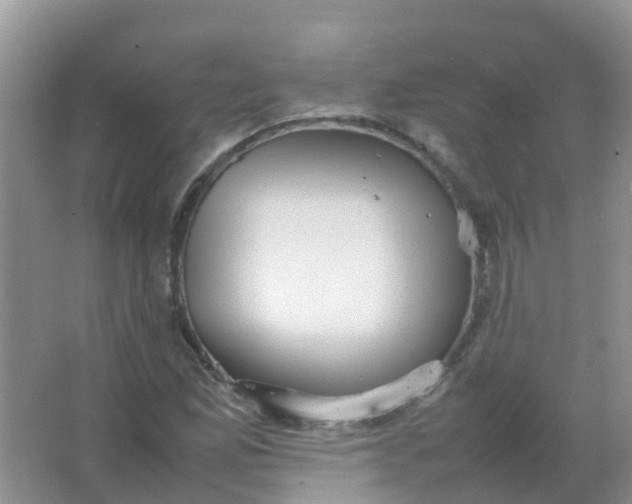 X0000066941165200604071905