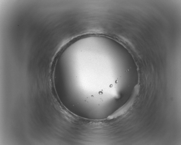 X0000066941168200604071905