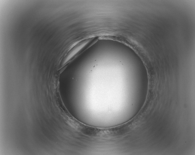 X0000066941169200604071905