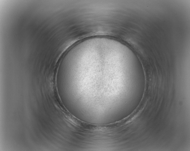 X0000066941170200604071905