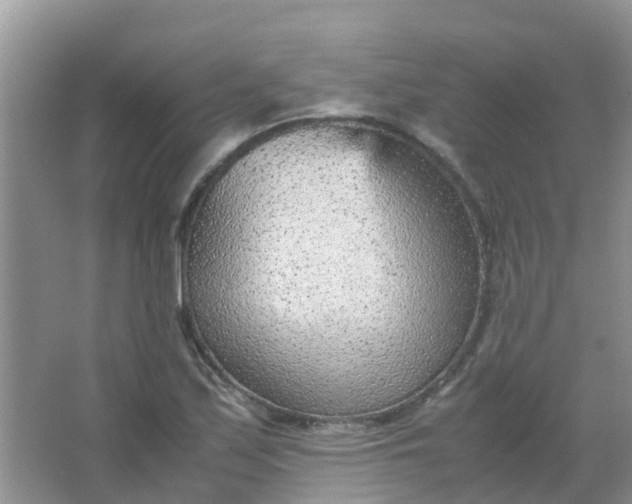 X0000066941171200604071904