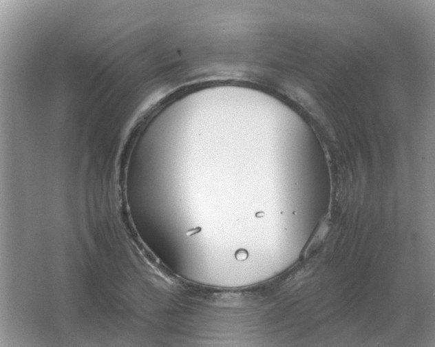 X0000066941172200604071904