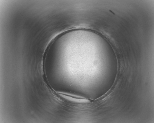 X0000066941174200604071904