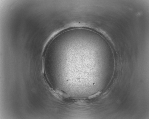 X0000066941175200604071904