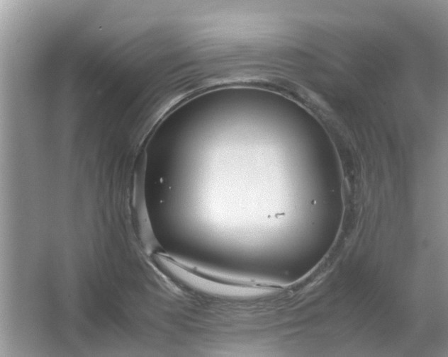 X0000066941177200604071904