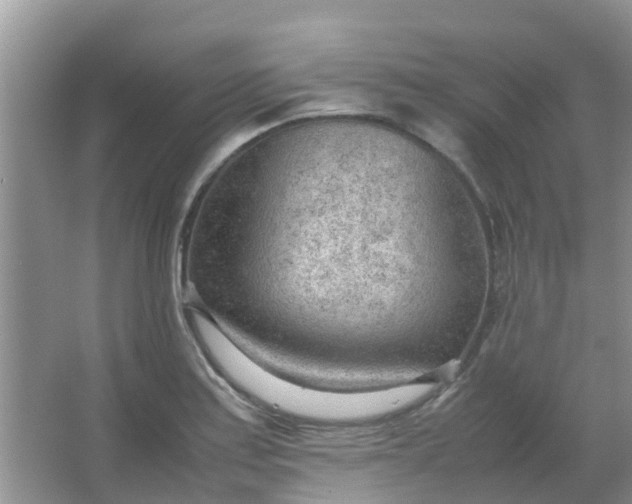 X0000066941179200604071904