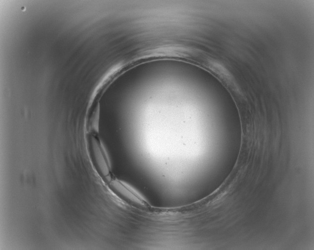 X0000066941180200604071904