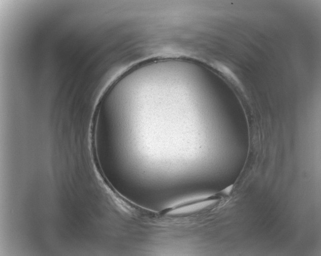 X0000066941183200604071904