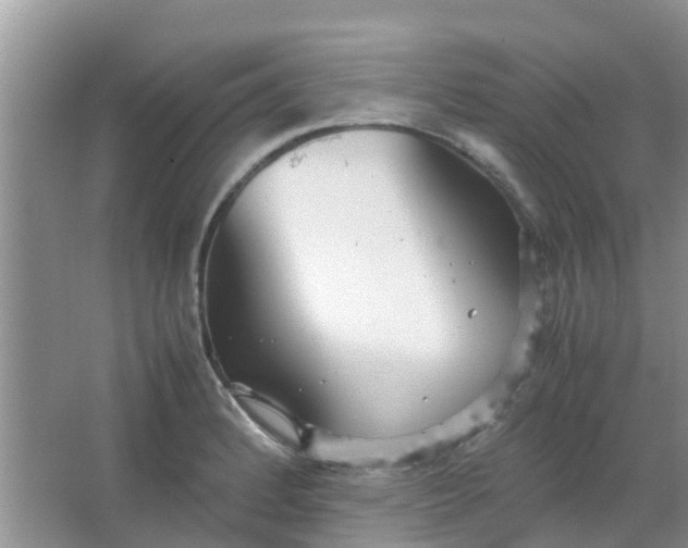 X0000066941184200604071904