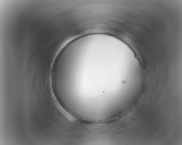 X0000066941187200604071904