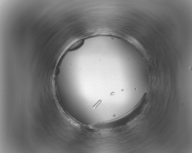 X0000066941190200604071904