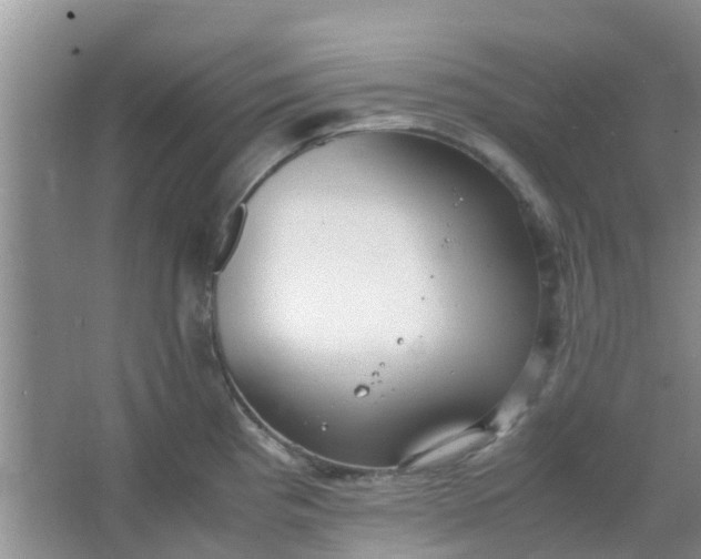 X0000066941193200604071904